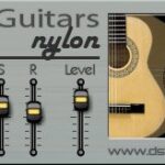 Dsk Guitars Nylon 2