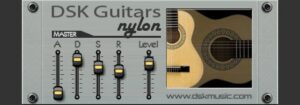 Dsk Guitars Nylon 2