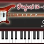 Project16-Picked-Bass_3