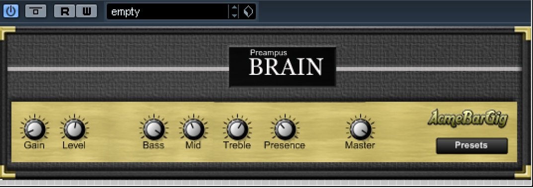 preampus-brain