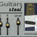 Dsk Guitars Steel 3