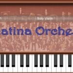 Sonatina Orchestra Module 3