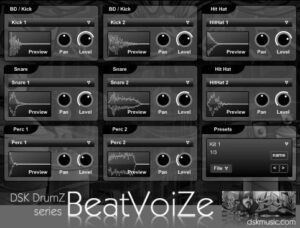 Dsk Drumz Beatvoize3