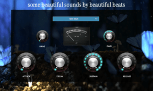 Some Beautiful Sounds Vst